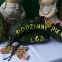 LGD Czarnoziem na Soli - Rodzinny Piknik LGD z Kujawskim Jadłem w tle w Gminie Kruszwica za nami 