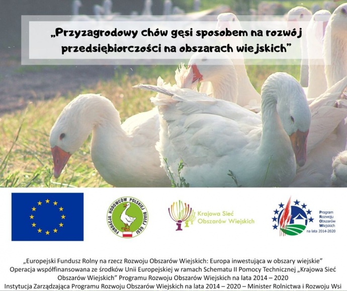 LGD Czarnoziem na Soli - „Przyzagrodowy chów gęsi sposobem na rozwój przedsiębiorczości na obszarach wiejskich”