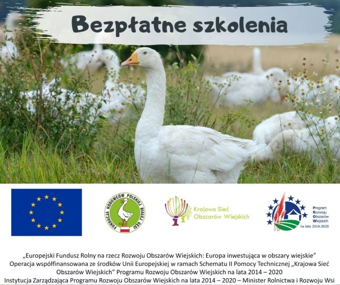 LGD Czarnoziem na Soli - Wspólnie z Fundacją Hodowców Polskiej Białej Gęsi zapraszamy na kolejne szkolenie z cykl "Przyzagrodowy chów gęsi sposobem na rozwój przedsiębiorczości na obszarach wiejskich"