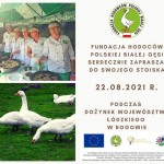 Fundacja Hodowców Polskiej Białęj Gęsi na Dożynkach Województa Łódzkiego 22.08.2021